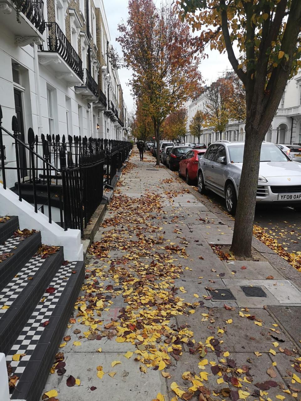 Victoria Style Flat Near Victoria Station Daire Londra Dış mekan fotoğraf